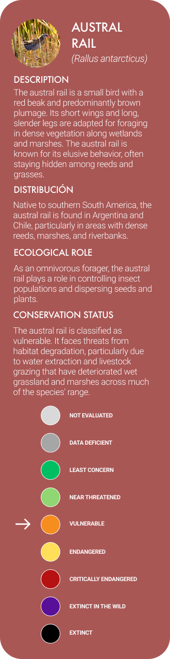 Austral Rail Mobile